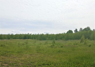 działka na sprzedaż - Toruń, Grębocin