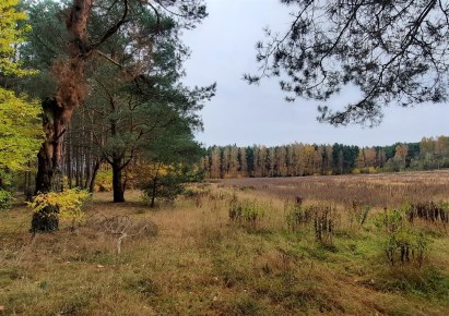 działka na sprzedaż - Obrowo, Dzikowo